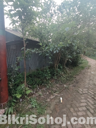 ৫ কাঠার উপর হাফ বিল্ডিং বাড়ি সহ জমি বিক্রয় করা হবে।